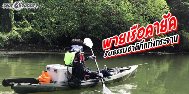 พายเรือคายัครับธรรมชาติที่แก่งกระจาน
