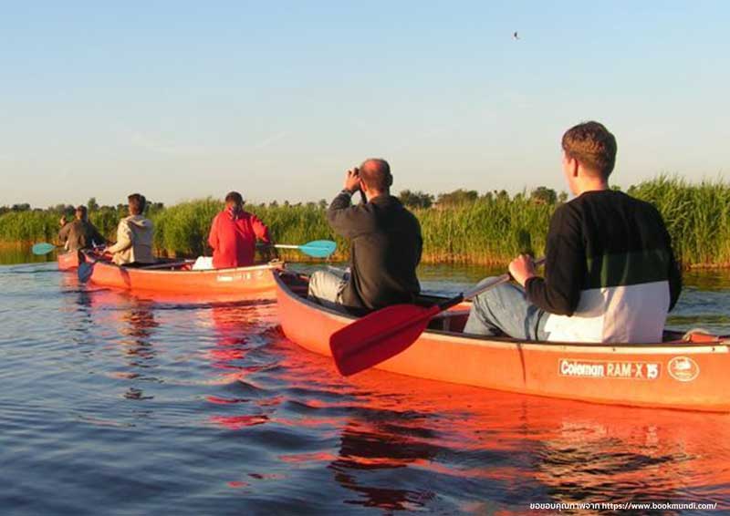 พายเรือคายัคที่ Wetlands Safari อัมสเตอร์ดัม ประเทศเนเธอร์แลนด์