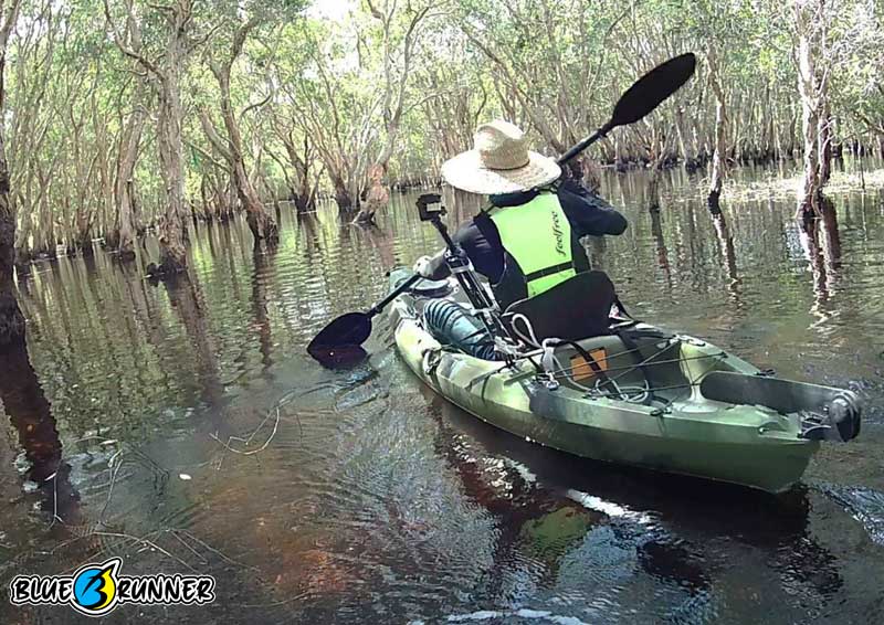 เรือคายัคตกปลา Blue runner แบบ Sit on top 1 ที่นั่ง PRO ANGLER 310