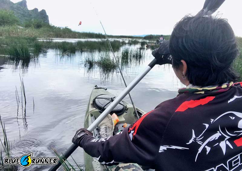 เรือคายัคตกปลา Blue runner แบบ Sit on top 1 ที่นั่ง PRO ANGLER 310