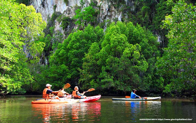 พายเรือคายัคที่ อ่าวท่าเลน จ.กระบี่