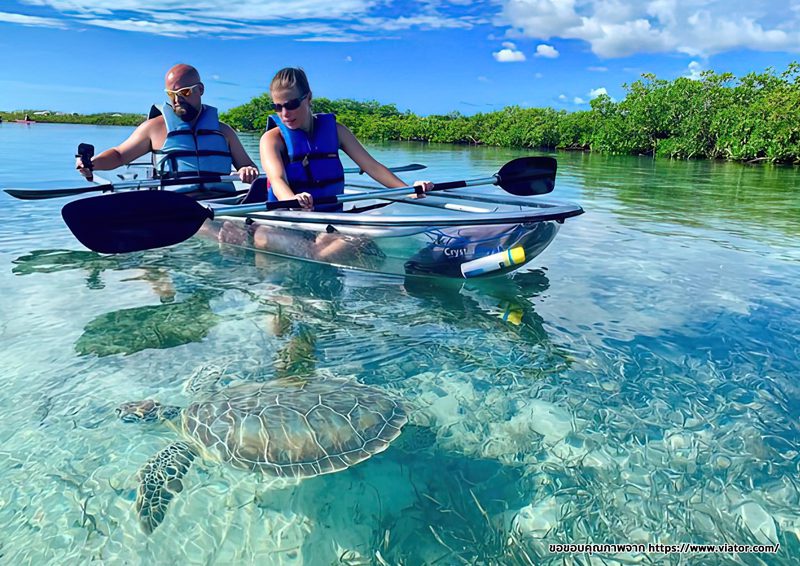 เรือคายัคใส Blue runner แบบ Sit on top 2 ที่นั่ง รุ่น Crystal Kayak-Double 333
