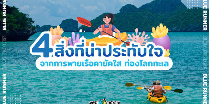4 สิ่งที่น่าประทับใจเมื่อคุณพายเรือคายัคใส ท่องโลกทะเล