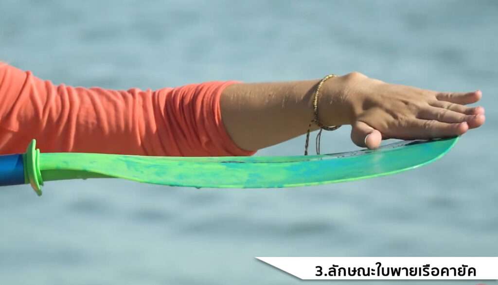 ลักษณะใบพายเรือคายัค