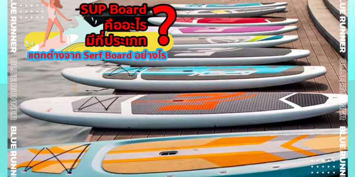 SUP Board คืออะไร มีกี่ประเภท แตกต่างจาก Serf Board อย่างไรSUP Board คืออะไรSUP Board คืออะไร มีกี่ประเภท แตกต่างจาก Serf Board อย่างไร